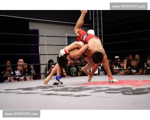 韩国金刚狼硬碰中国硬汉李景亮巅峰对决引爆擂台终极荣耀之战