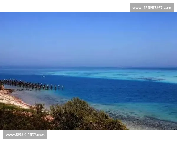 马耳他对阵爱尔兰实力对比与赛前走势深度解析全面观察与关键看点